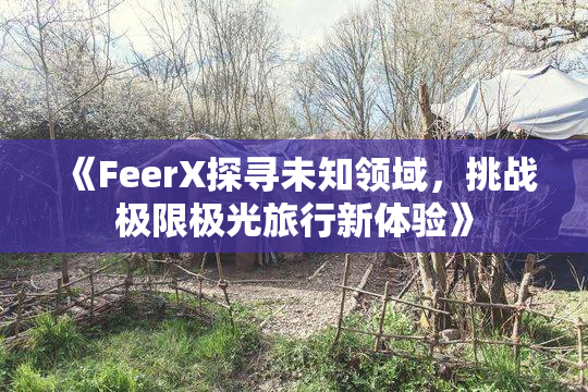 《FeerX探寻未知领域，挑战极限极光旅行新体验》