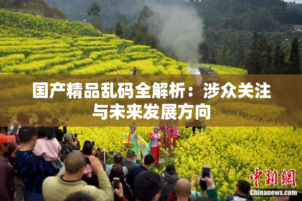国产精品乱码全解析：涉众关注与未来发展方向
