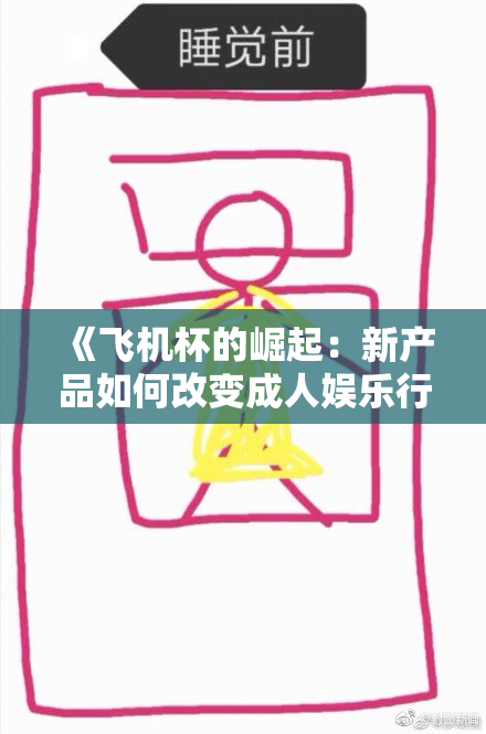 《飞机杯的崛起：新产品如何改变成人娱乐行业的格局》