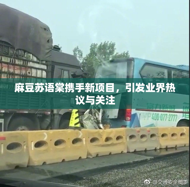 麻豆苏语棠携手新项目，引发业界热议与关注
