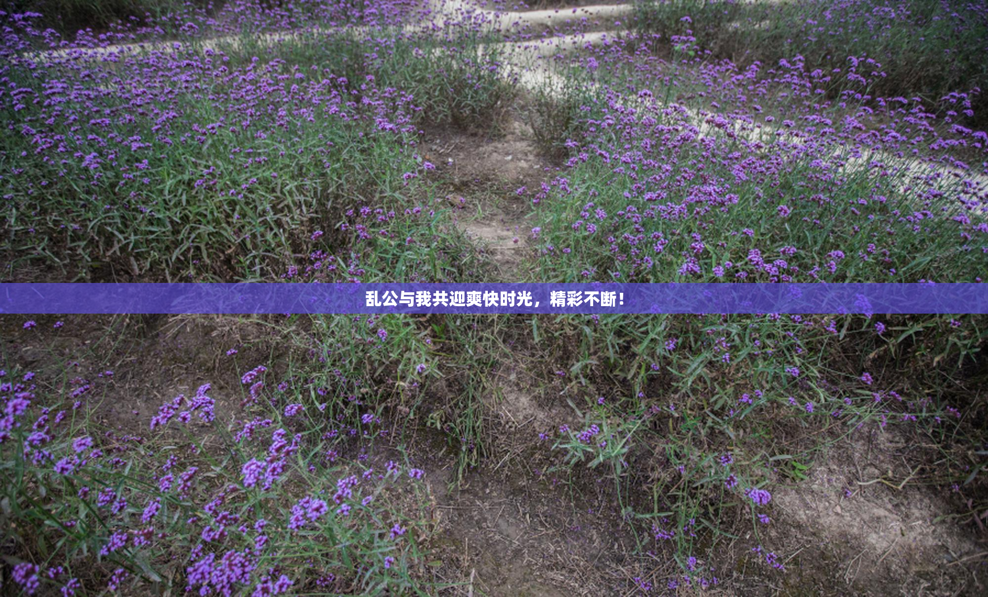 乱公与我共迎爽快时光，精彩不断！