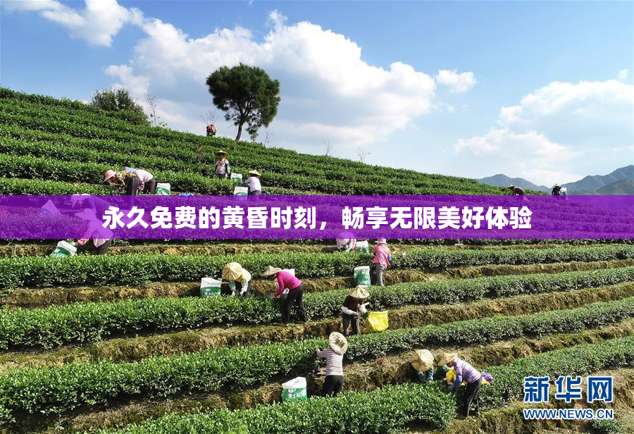 永久免费的黄昏时刻，畅享无限美好体验