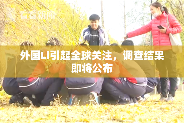 外国Li引起全球关注，调查结果即将公布