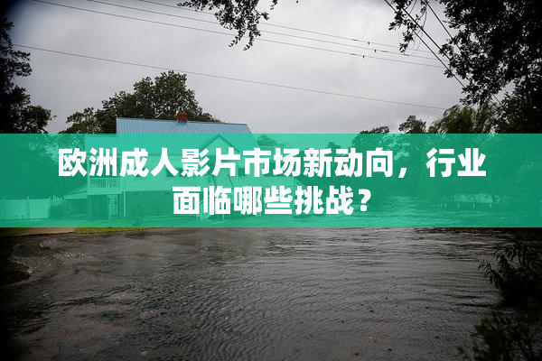 欧洲成人影片市场新动向，行业面临哪些挑战？