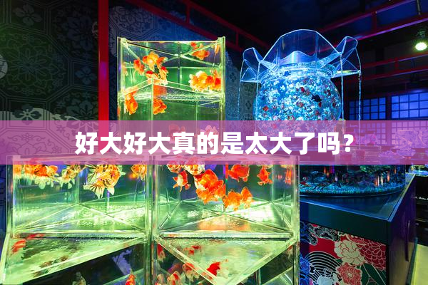 好大好大真的是太大了吗？
