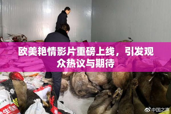 欧美艳情影片重磅上线，引发观众热议与期待