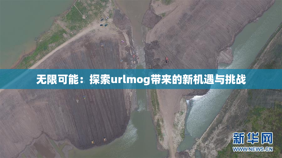 无限可能：探索urlmog带来的新机遇与挑战