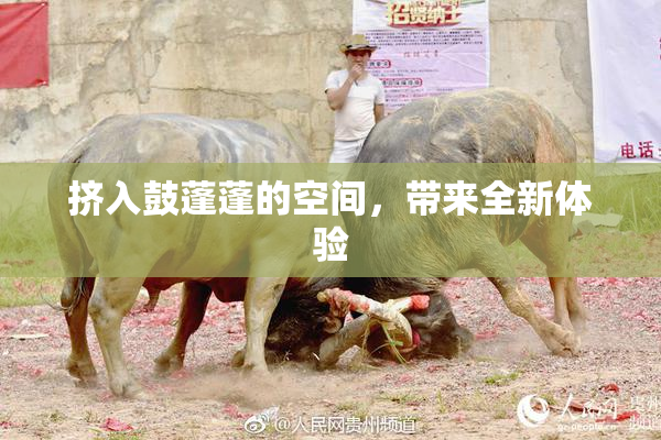 挤入鼓蓬蓬的空间，带来全新体验