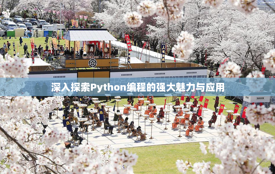 深入探索Python编程的强大魅力与应用