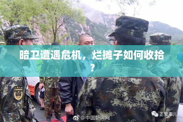 暗卫遭遇危机，烂摊子如何收拾？