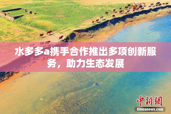 水多多a携手合作推出多项创新服务，助力生态发展