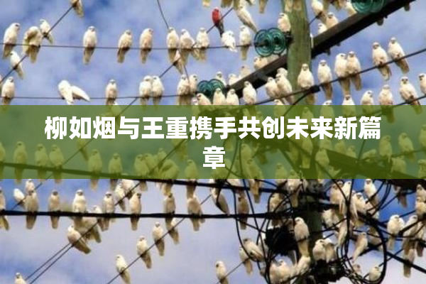 柳如烟与王重携手共创未来新篇章