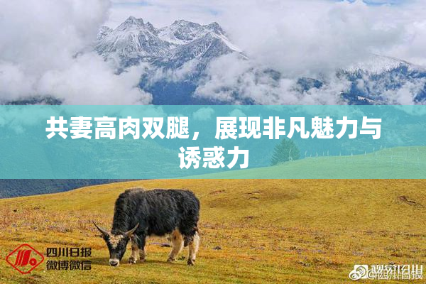 共妻高肉双腿，展现非凡魅力与诱惑力