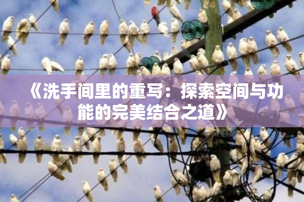 《洗手间里的重写：探索空间与功能的完美结合之道》