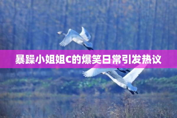 暴躁小姐姐C的爆笑日常引发热议