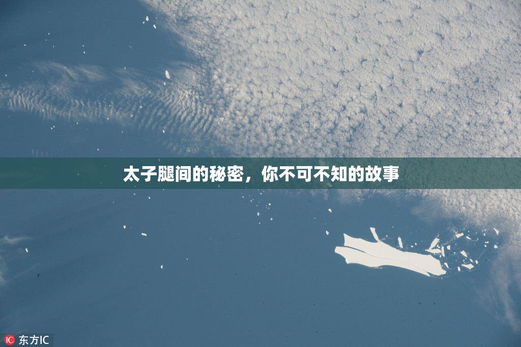 太子腿间的秘密，你不可不知的故事