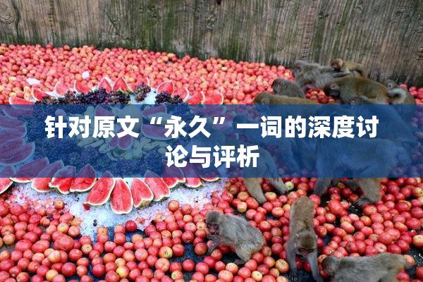 针对原文“永久”一词的深度讨论与评析