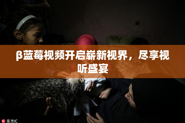 β蓝莓视频开启崭新视界，尽享视听盛宴
