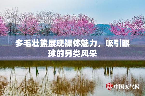 多毛壮熊展现裸体魅力，吸引眼球的另类风采