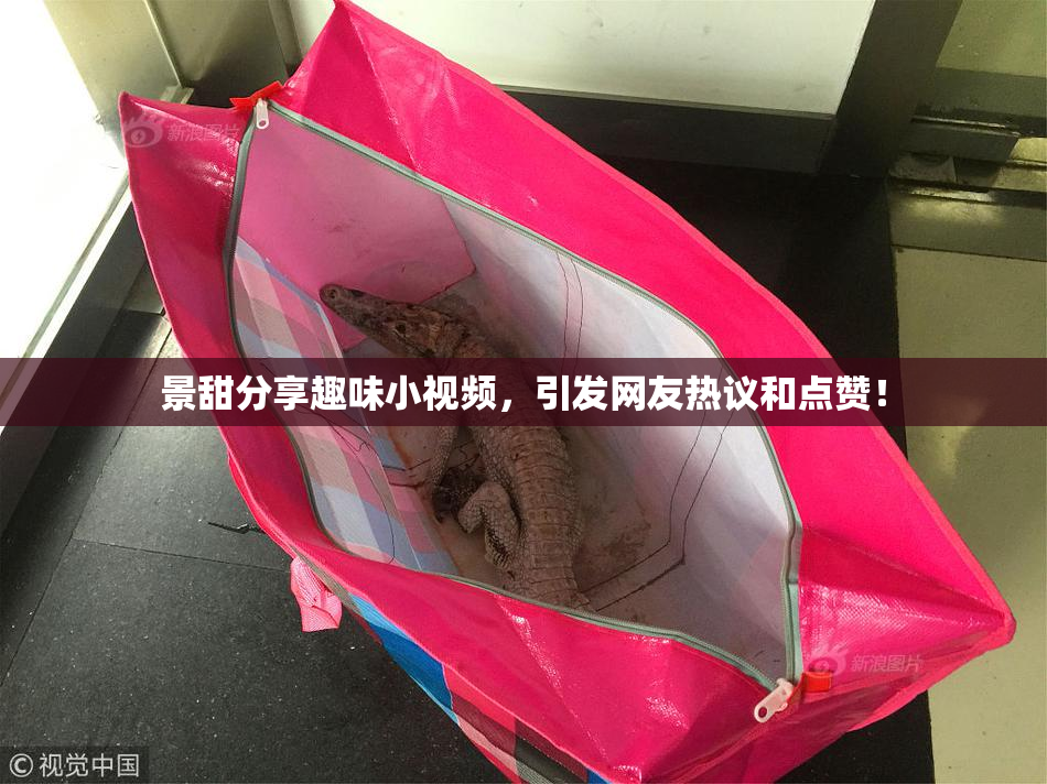 景甜分享趣味小视频，引发网友热议和点赞！