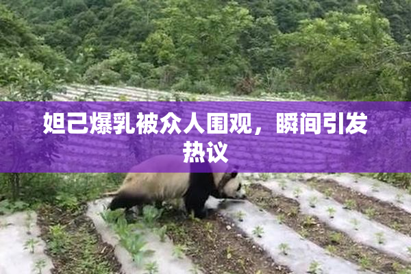 妲己爆乳被众人围观，瞬间引发热议