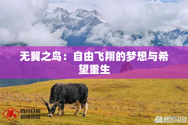 无翼之鸟：自由飞翔的梦想与希望重生