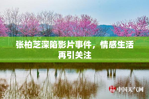 张柏芝深陷影片事件，情感生活再引关注