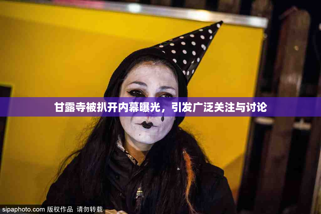 甘露寺被扒开内幕曝光，引发广泛关注与讨论