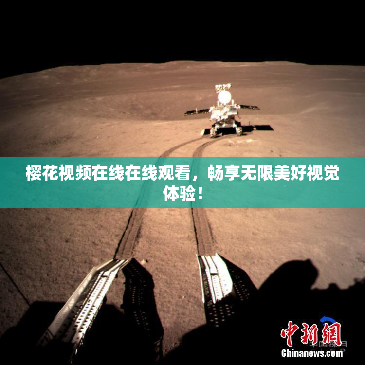樱花视频在线在线观看，畅享无限美好视觉体验！
