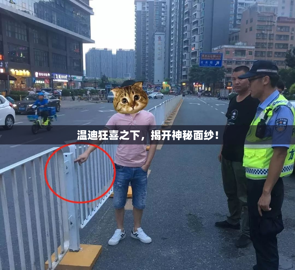 温迪狂喜之下，揭开神秘面纱！