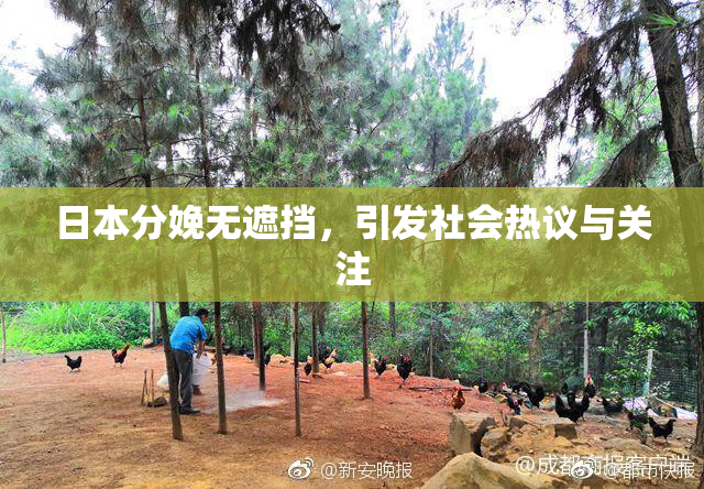 日本分娩无遮挡，引发社会热议与关注