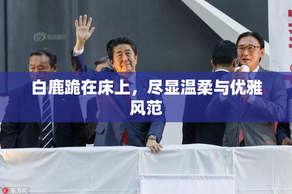 白鹿跪在床上，尽显温柔与优雅风范