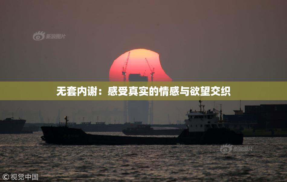 无套内谢：感受真实的情感与欲望交织