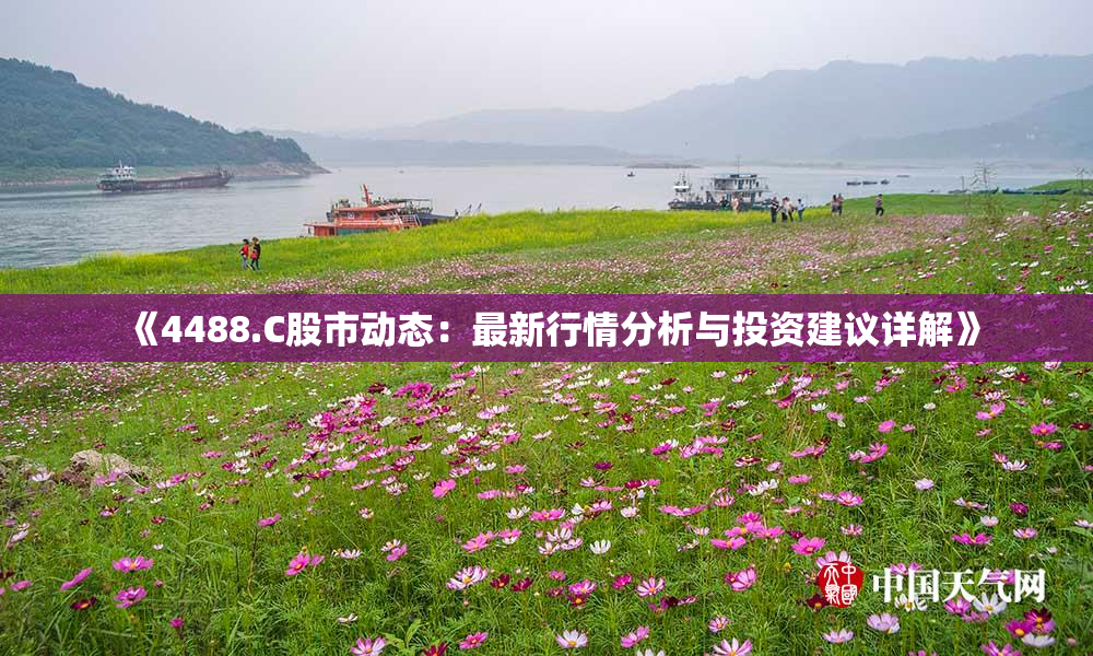 《4488.C股市动态：最新行情分析与投资建议详解》
