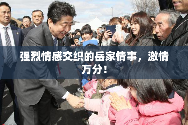 强烈情感交织的岳家情事，激情万分！