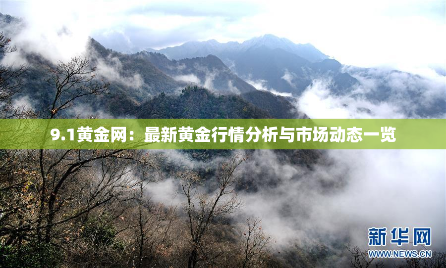 9.1黄金网：最新黄金行情分析与市场动态一览