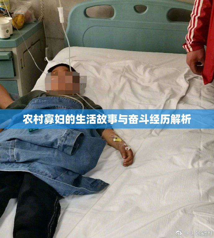 农村寡妇的生活故事与奋斗经历解析