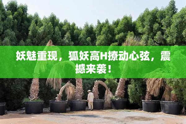 妖魅重现，狐妖高H撩动心弦，震撼来袭！