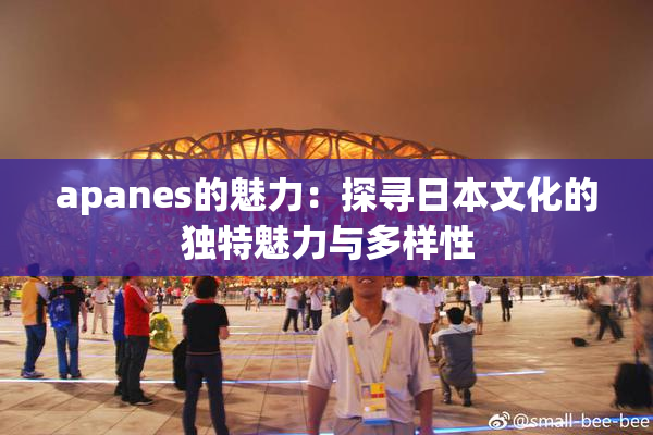 apanes的魅力：探寻日本文化的独特魅力与多样性