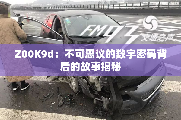 Z00K9d：不可思议的数字密码背后的故事揭秘