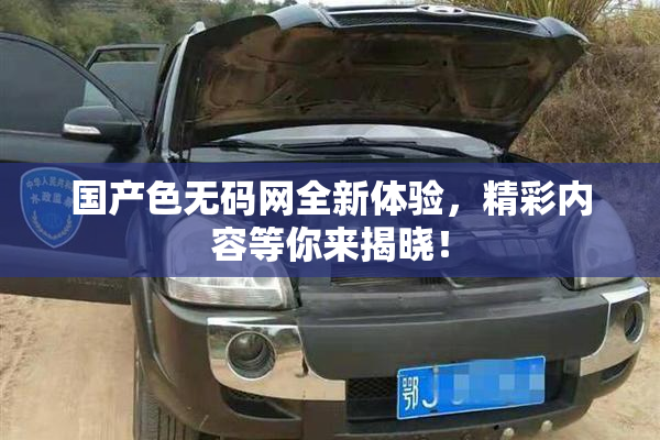 国产色无码网全新体验，精彩内容等你来揭晓！