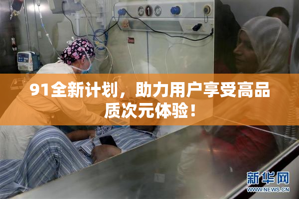 91全新计划，助力用户享受高品质次元体验！