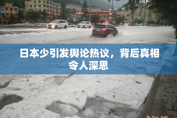 日本少引发舆论热议，背后真相令人深思