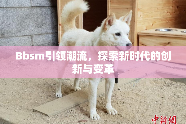 Bbsm引领潮流，探索新时代的创新与变革