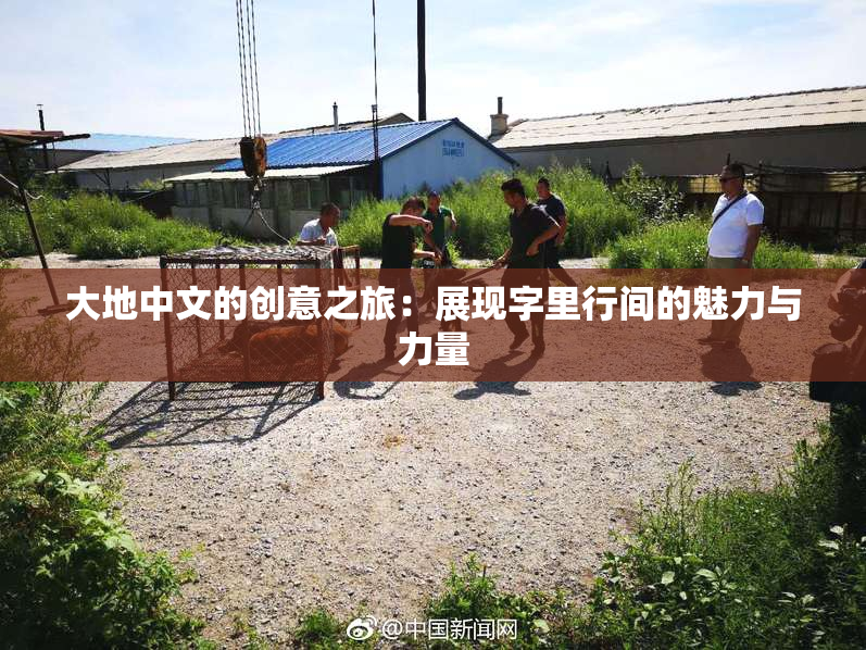 大地中文的创意之旅：展现字里行间的魅力与力量