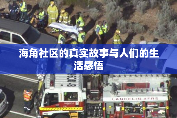 海角社区的真实故事与人们的生活感悟