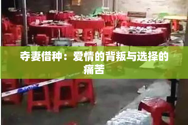 夺妻借种：爱情的背叛与选择的痛苦