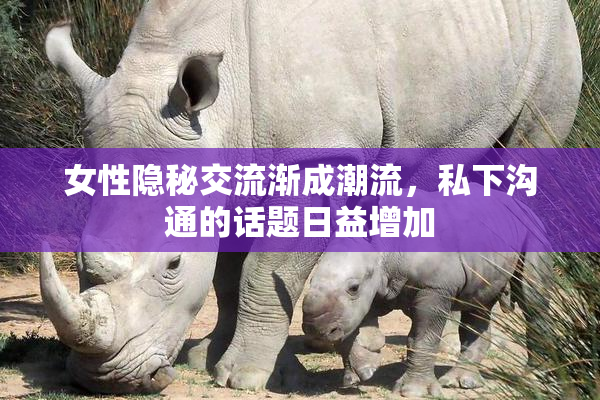 女性隐秘交流渐成潮流，私下沟通的话题日益增加