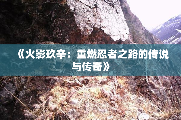 《火影玖辛：重燃忍者之路的传说与传奇》