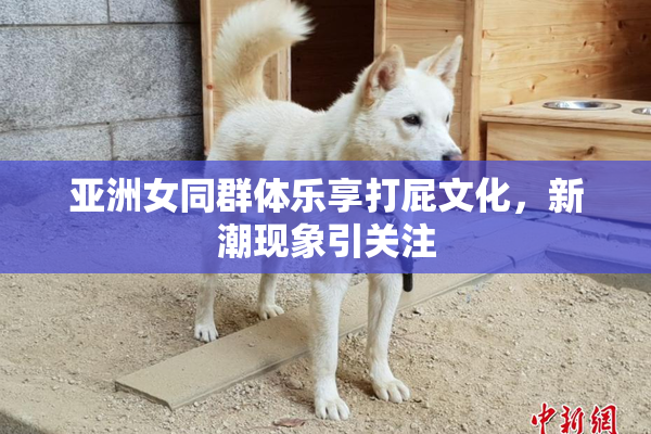 亚洲女同群体乐享打屁文化，新潮现象引关注